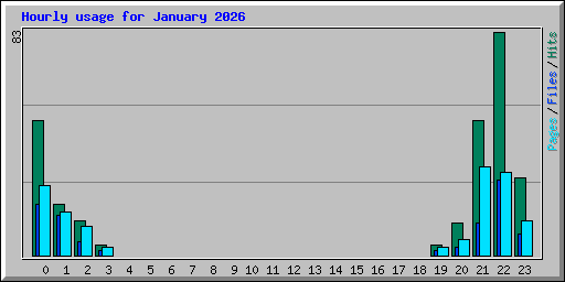 Hourly usage for January 2026